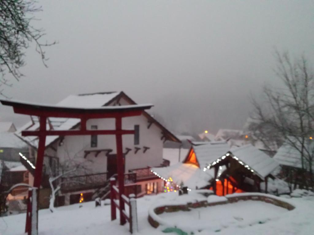 Casa Lily - Japanese Retreat Hotell Sighişoara Exteriör bild