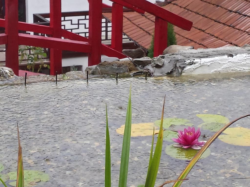 Casa Lily - Japanese Retreat Hotell Sighişoara Exteriör bild